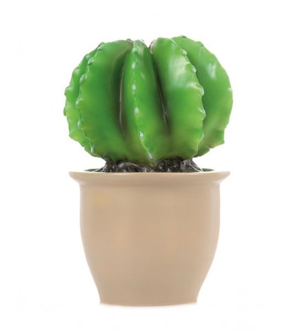 Heico Cactus Night Light