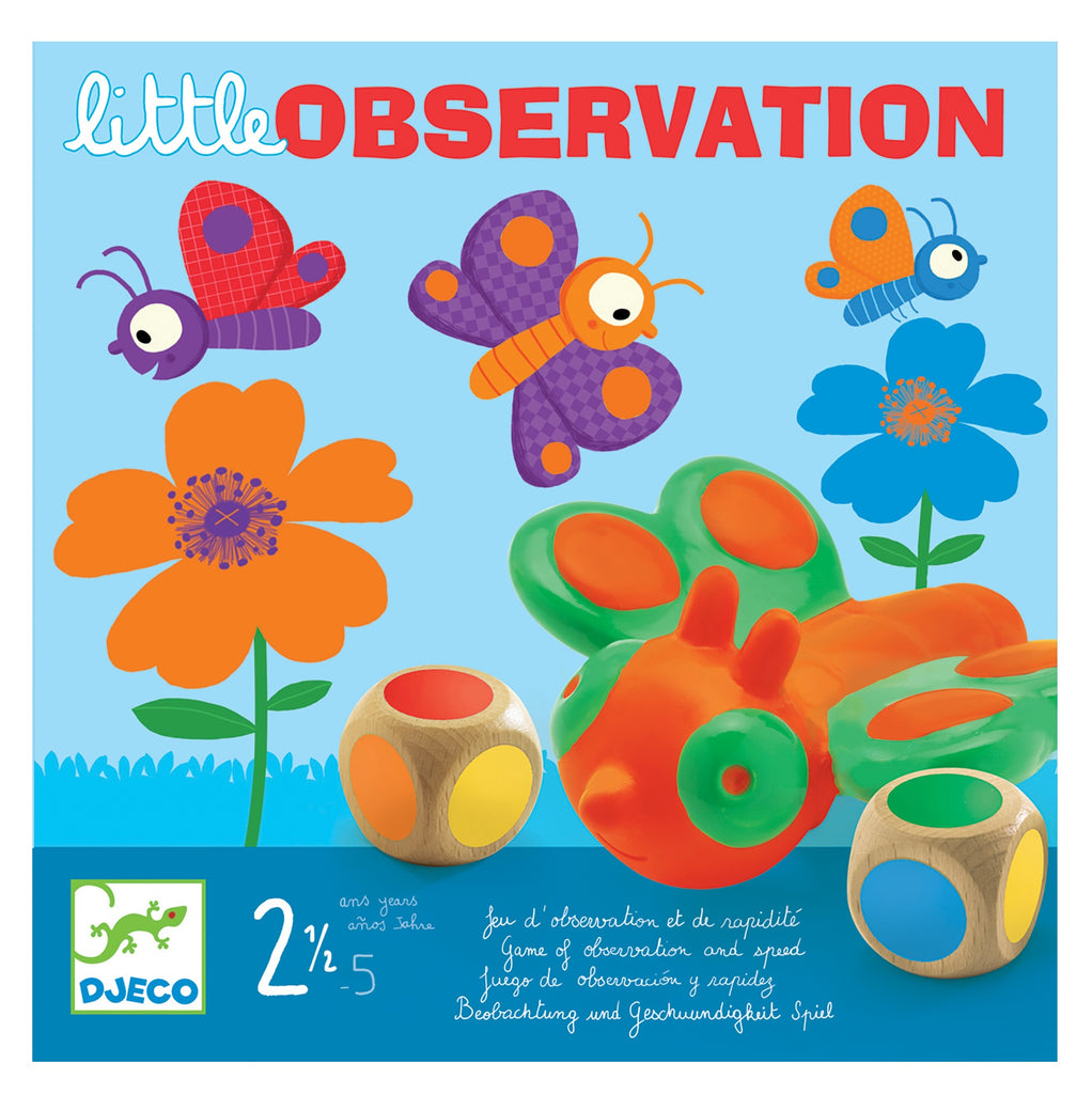 Little Observation Game