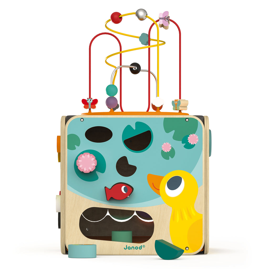 Janod Multi-Activity Cube