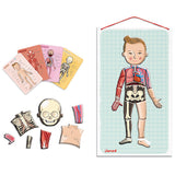 Human Body Magnet Set