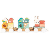 Pure Pull Along Train