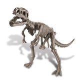 Dig A Dinosaur Tyrannosaurus Rex